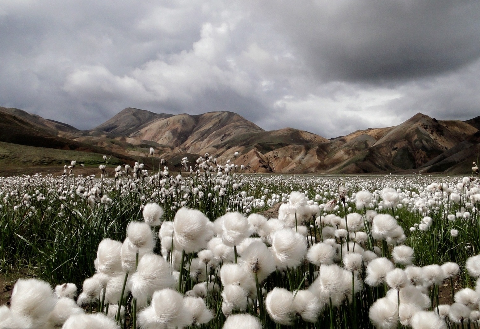 Yoga jedwabnym szlakiem Uzbekistan wrzesień 2026 - obrazek 10