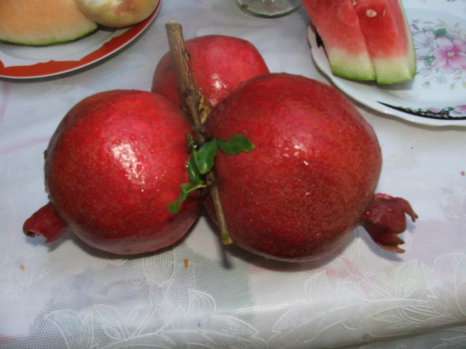 Yoga jedwabnym szlakiem Uzbekistan wrzesień 2026 - obrazek 11